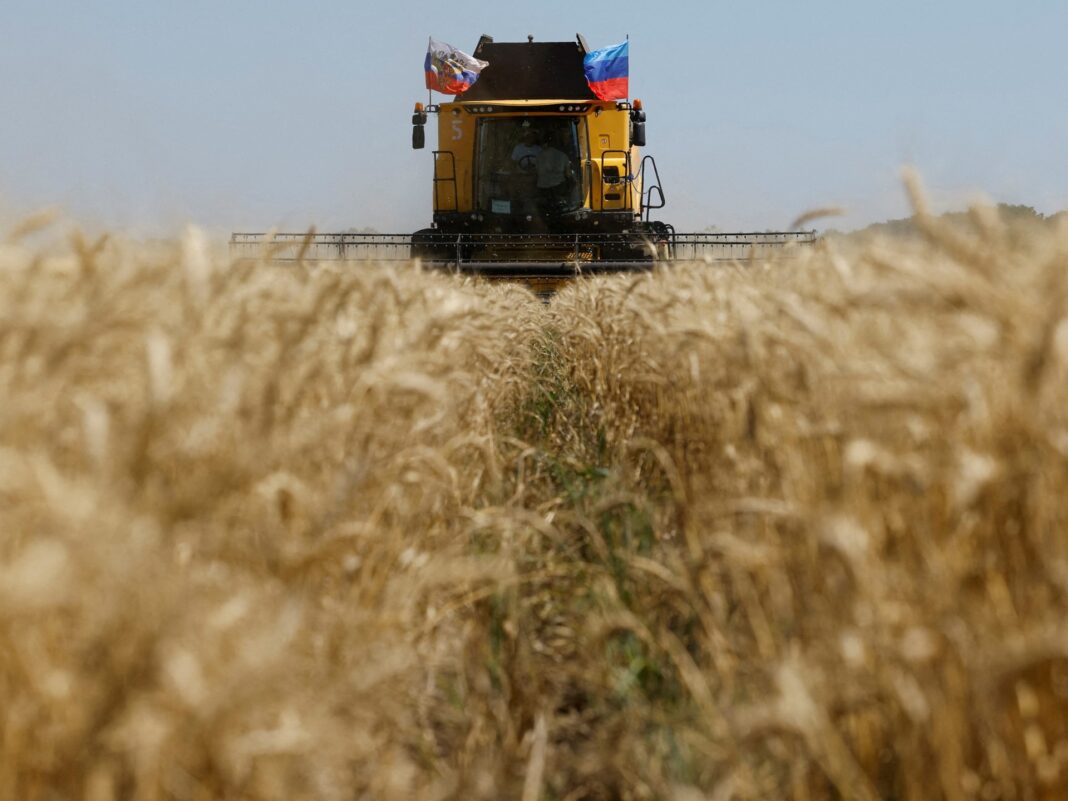 Ukraine asks Israel to seize ship carrying grain ‘stolen’ by Russia | Russia-Ukraine war News