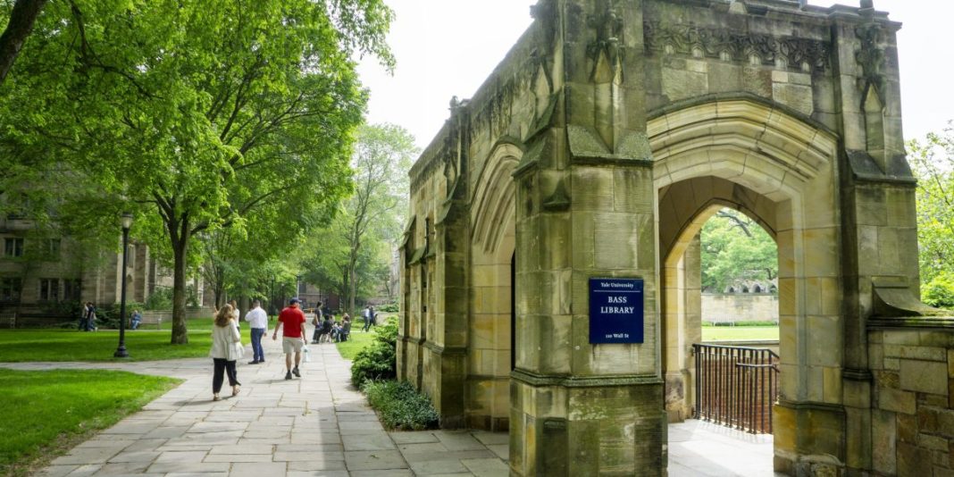 Yale report savages Ivy League schools for destroying American trust in higher education