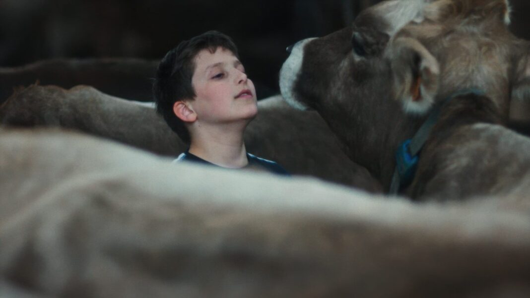 Cannes Film Documentary 'Gabin' Filmed a Farm Boy Over a Decade