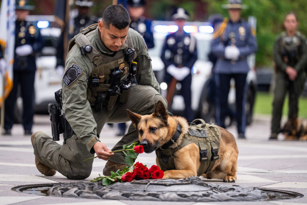 Capitol Lens | Man’s best friend