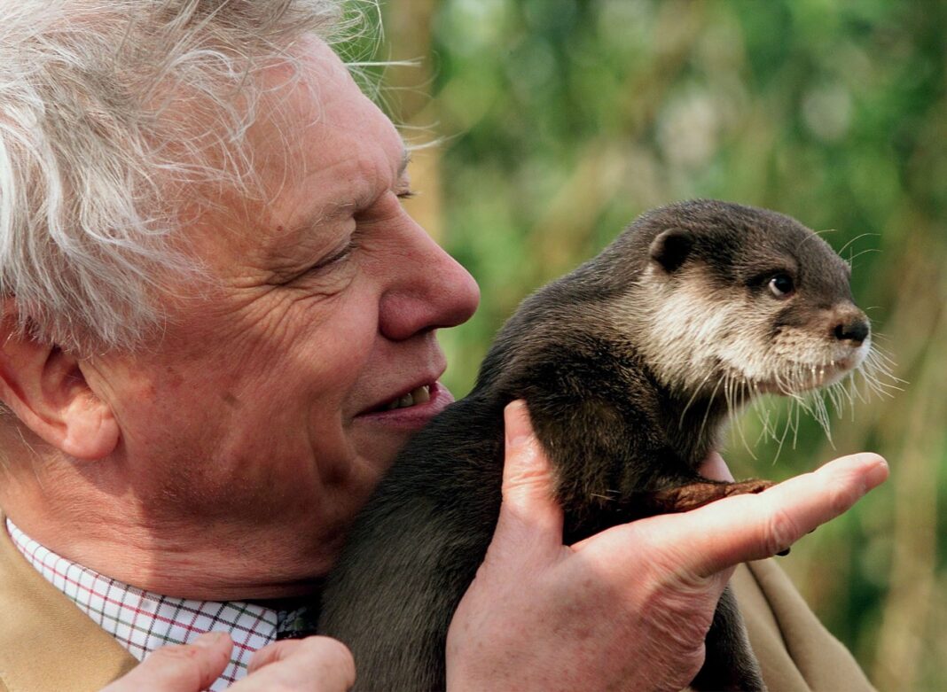Celebrated naturalist David Attenborough marks 100th birthday | Environment