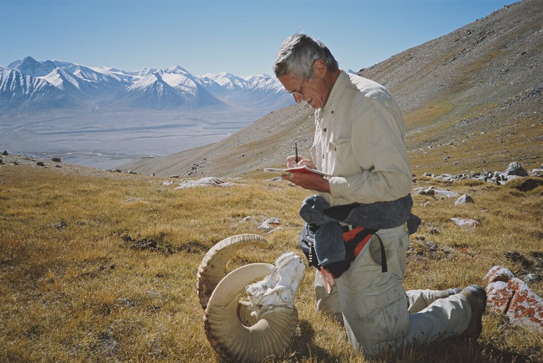George Schaller Was a Foreign Correspondent of Animal Kingdoms