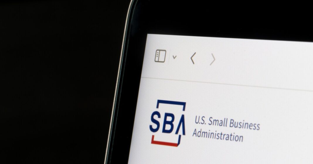 Georgia bank saw increase in problem SBA loans before it failed
