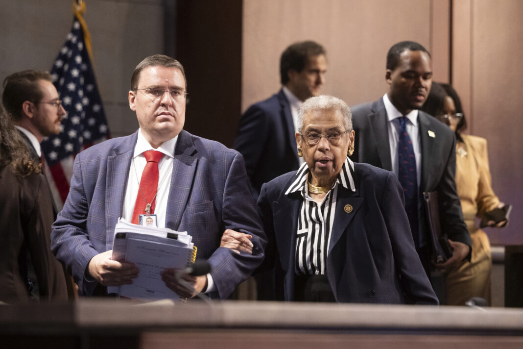 How do you follow Eleanor Holmes Norton? These Democrats want to be a different kind of delegate.