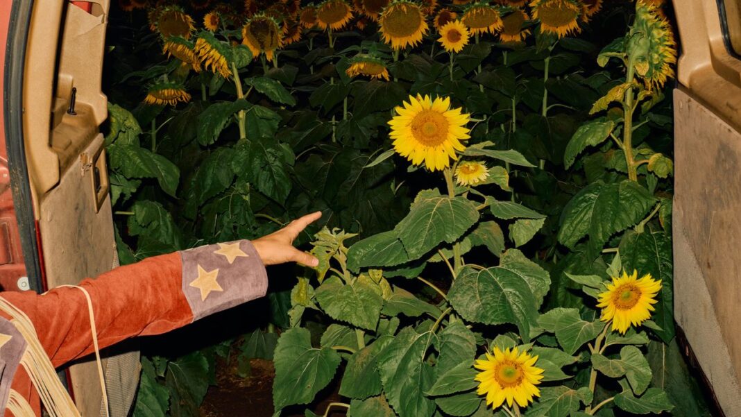 Kevin Morby: Little Wide Open Album Review