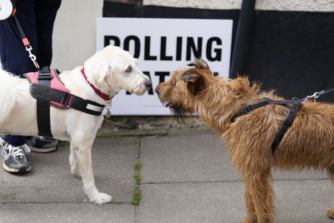 Local elections: What time will results be announced in England, Wales and Scotland?