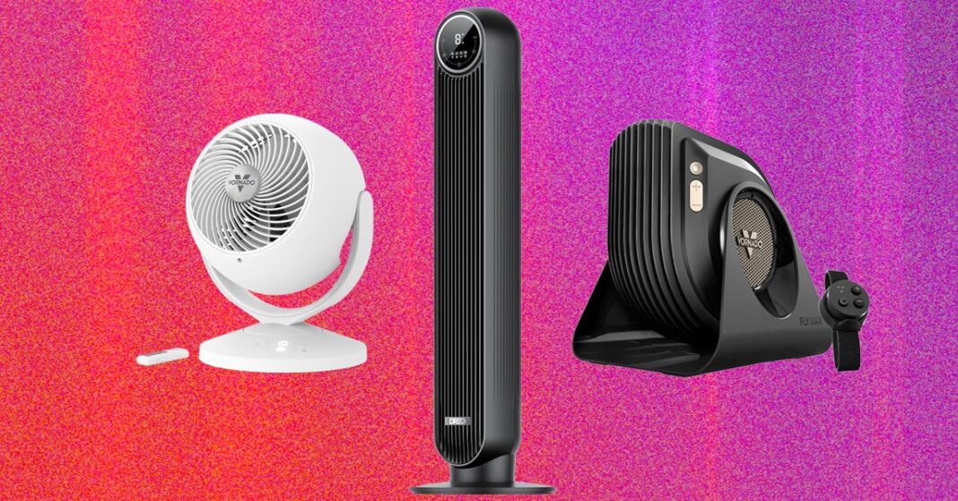 The 13 Best Fans to Buy Before It Gets Hot Again (2026)