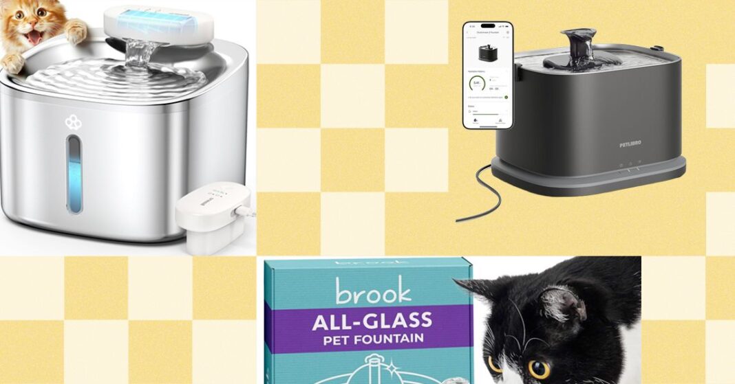 The Best Cat Water Fountains of 2026: Petlibro, Petkit, Oneisall