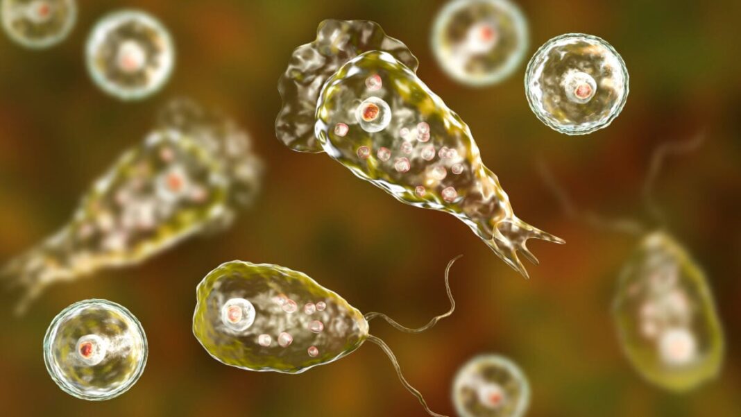 These Popular National Parks Are Teeming With Brain-Eating Amoebas