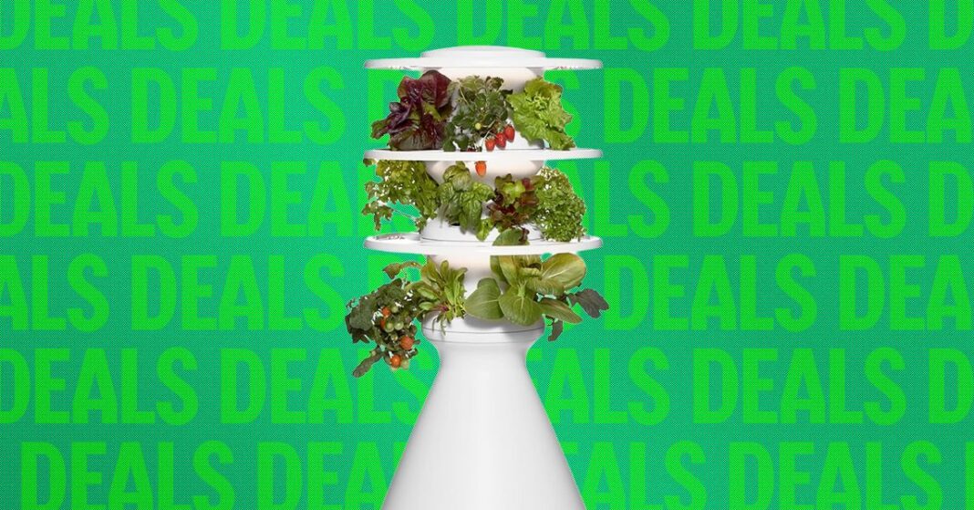 This Eye-Catching Indoor Garden Is 20 Percent Off Right Now