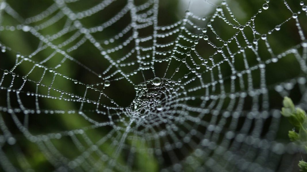 Why Did It Take So Long for the Web to Get Its Own Domain Name?